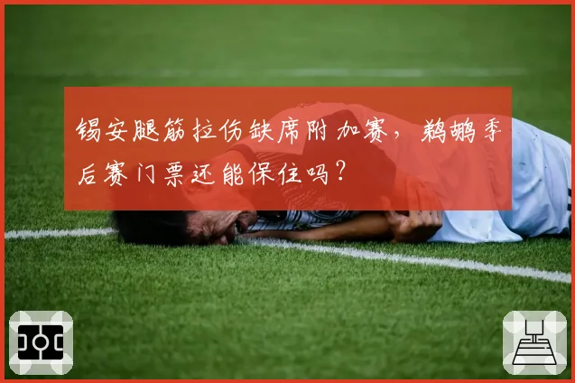 锡安腿筋拉伤缺席附加赛，鹈鹕季后赛门票还能保住吗？