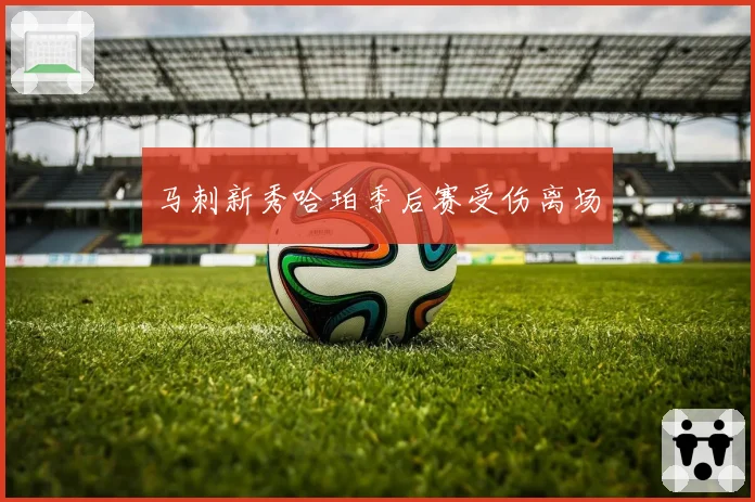 马刺新秀哈珀季后赛受伤离场