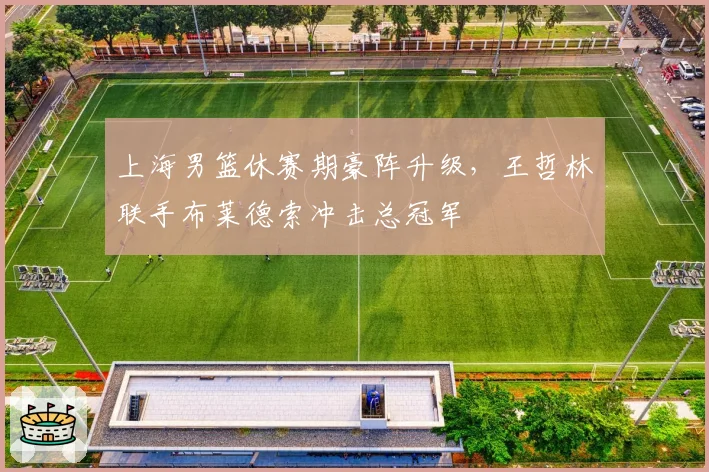 上海男篮休赛期豪阵升级，王哲林联手布莱德索冲击总冠军