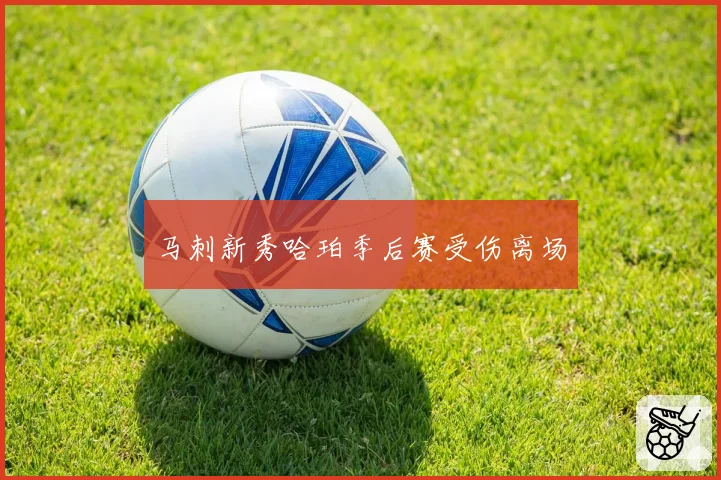 马刺新秀哈珀季后赛受伤离场