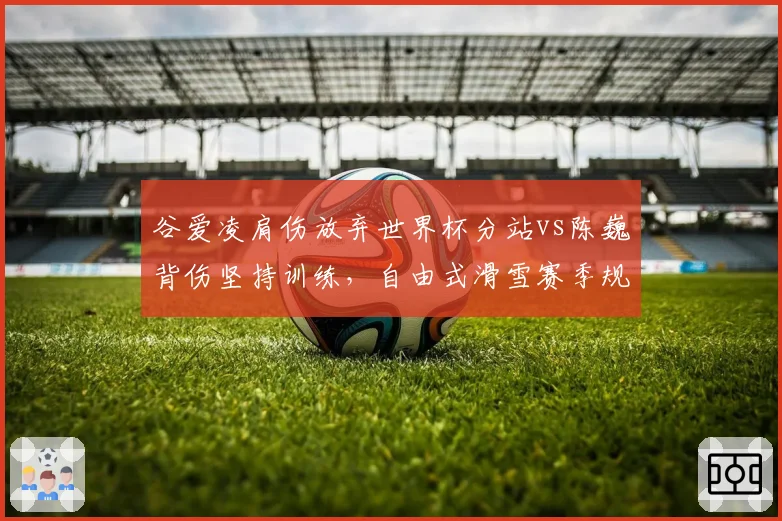 谷爱凌肩伤放弃世界杯分站vs陈巍背伤坚持训练，自由式滑雪赛季规划迥异